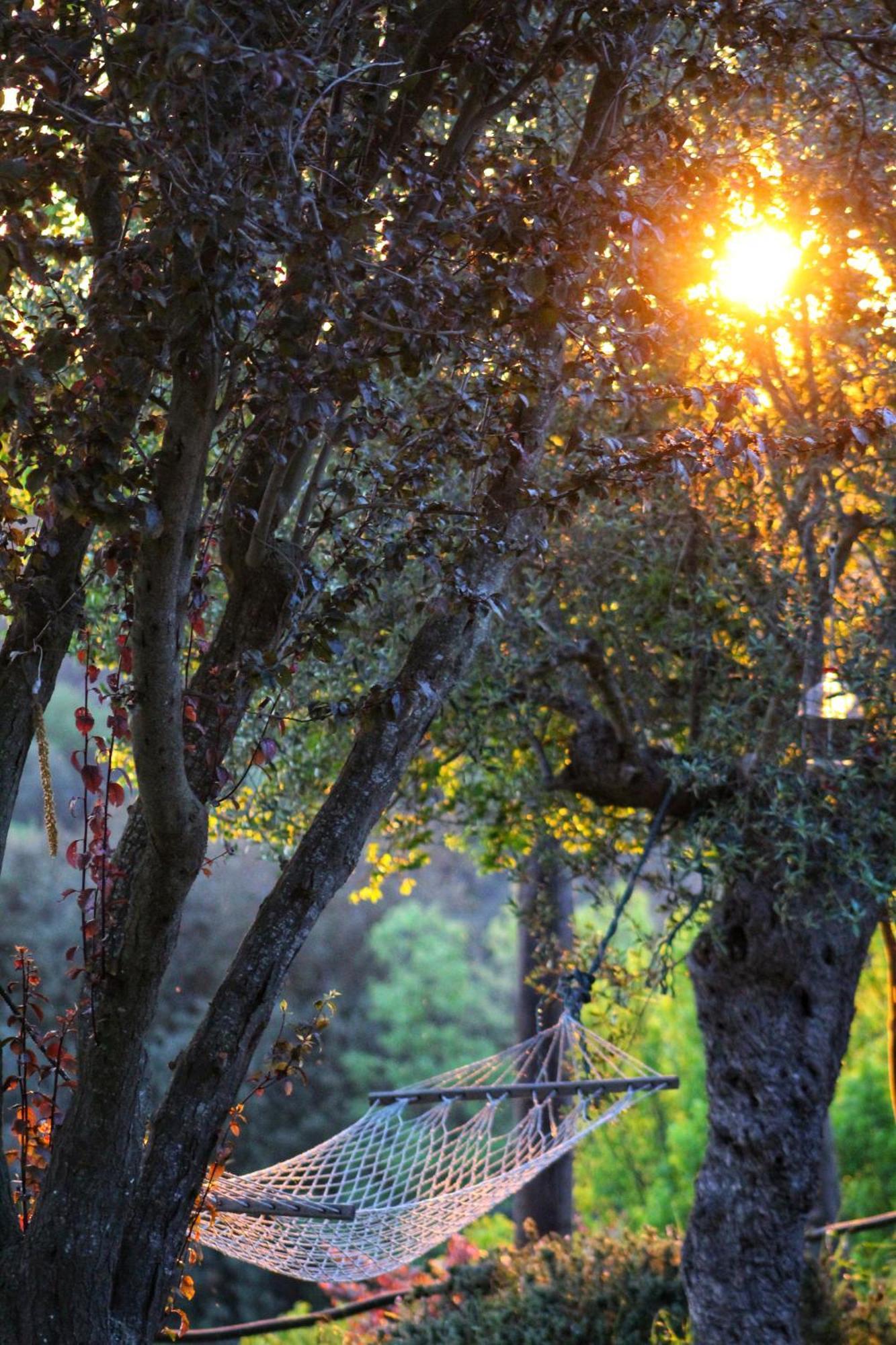 Masia Can Felip B&B Llinars del Valles ภายนอก รูปภาพ