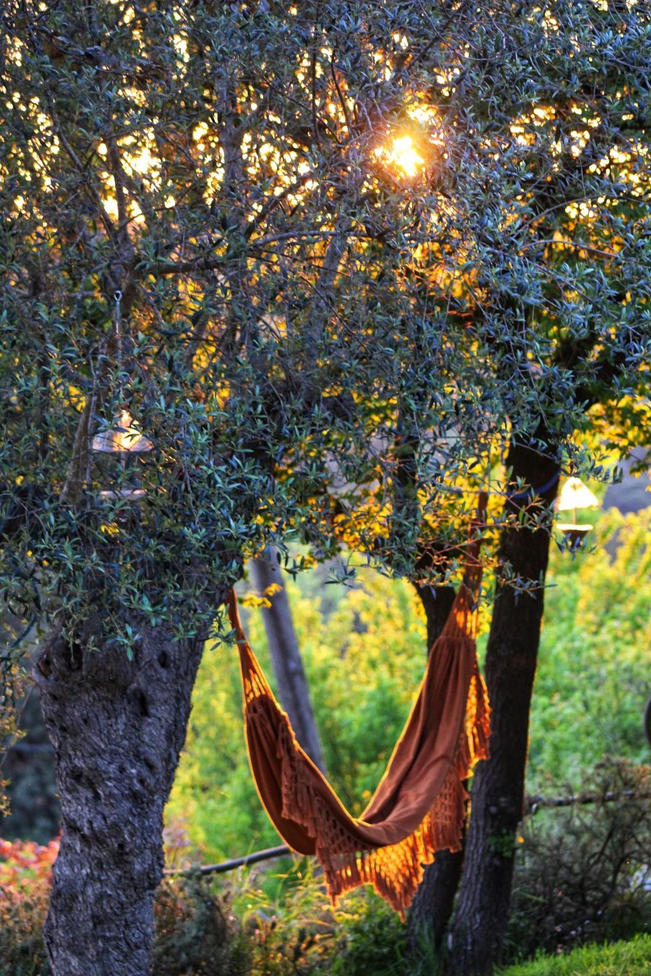 Masia Can Felip B&B Llinars del Valles ภายนอก รูปภาพ